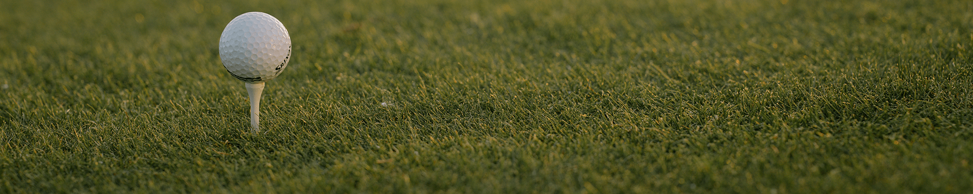 Golf ball on tee